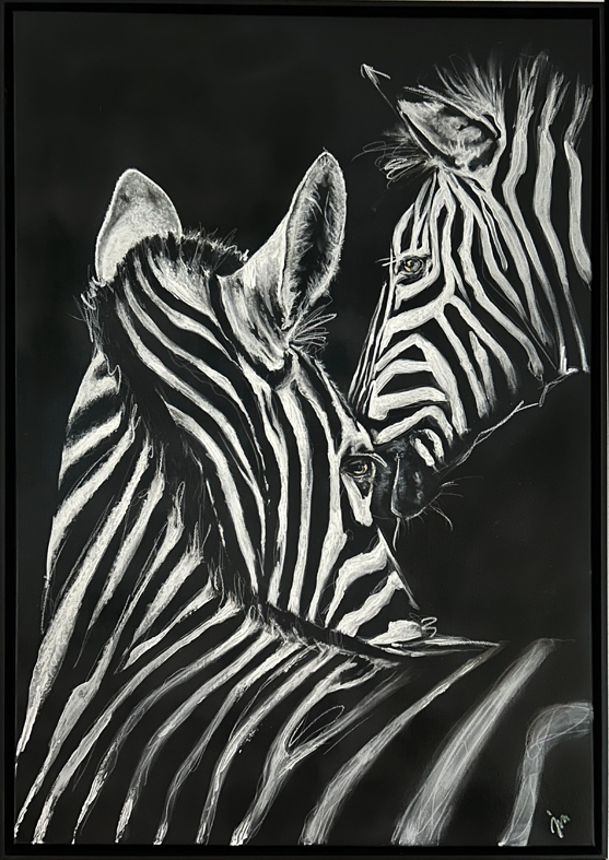 Zebras schwarz weiß